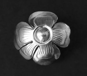 Hovedbilde Liten Hansson rose nål